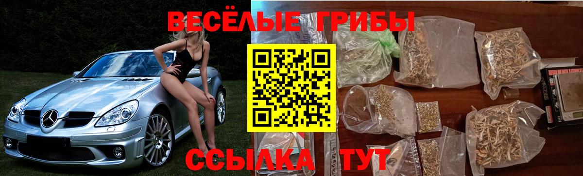 Галлюциногенные грибы Psilocybe Учалы